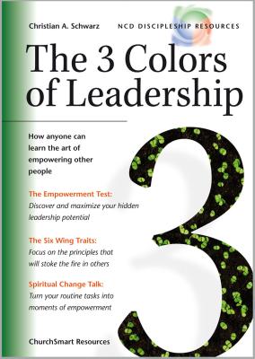 The 3 Colors of Leadership (Titel auf Englisch)